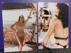 (12) unsigned 4x6 photos of Catherine Bach, Bullock, Thurman, Kitaen + 8 — photo 6