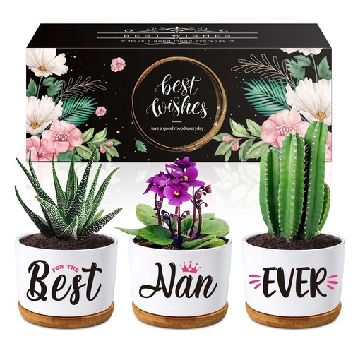 Buioata Nan Gifts, Flower Pot Gifts for Nan Birthday, Grandma Birthday Gift