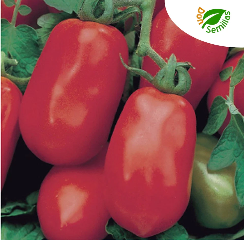 Tomate Roma tipo Pera ( 200 semillas ) seeds