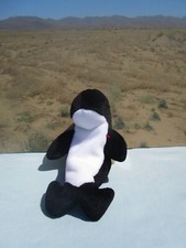 Ty Beanie Baby, New 1996, Waves, the Black  White Orca Whale