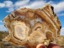 Lysite Wy. Jasper lapidary slab agate Patterns Quartz Druzy Rough Mineral LYS2