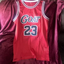 michael jordan jersey
