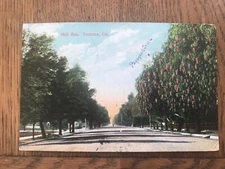 Holt Ave Avenue Pomona California Postcard