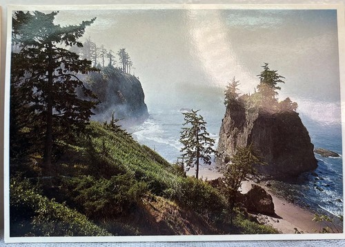 Lot 2 Postcards Redwood Prints For Framing Redcrest California 1984 Coastal - Picture 3 of 6