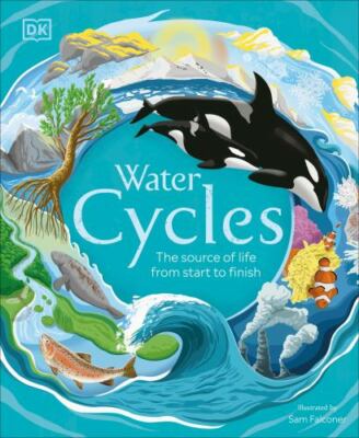 Water Cycles (DK Life Cycles) by DK