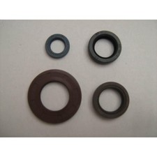 SERIE PARAOLI SPECIFICI FANTIC MOTOR 305 305 Trial 1989-1989