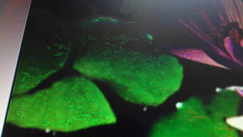 AS-IS HP 1740 L1740 HSTND-2B03 SCREEN 17 " LCD COLOR MONITOR PL766 17INCH - Image 4 of 4