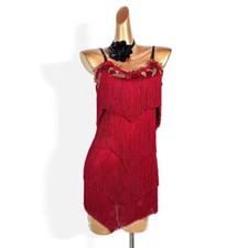 Latin Tassels Rumba Samba Rhythm Ballroom Performance Dance Dress Tango Practice