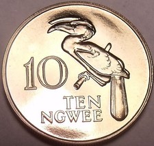Rare Proof Zambia 1978 10 Ngwee~Crowned Hornbill~Extreme Low Mintage 24,000~Fr/S