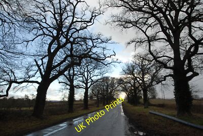 Foto 12x8 von Bäumen gesäumte Spur Bullinghope Dies ist die Straße von Ross auf Wye t c2015