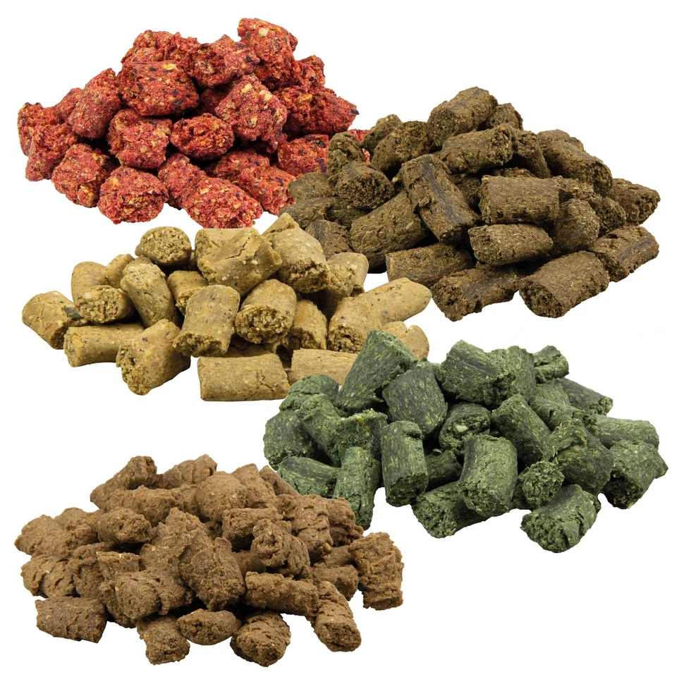 SCHECKER GMBH Schecker Knuspies - Hundeleckerli - getreidefrei - glutenfrei - 5 Sorten