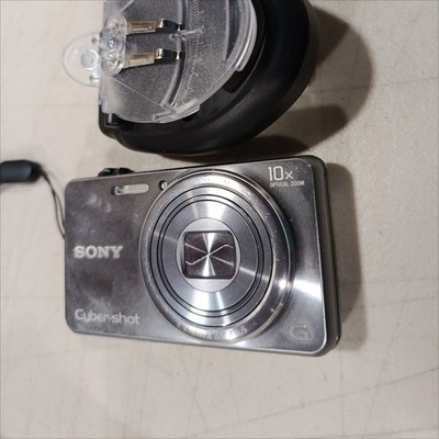 Sony Cyber Shot DSC-WX100 Digital Camera 18.2MP Silver,Unable to power on