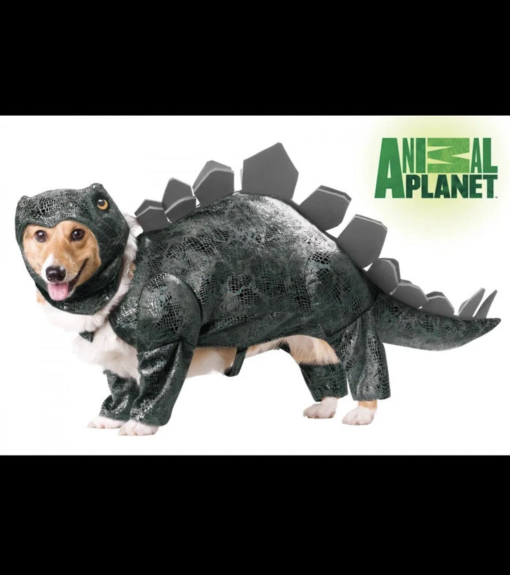 Animal Planet - Disfraz de perro estegosaurio - Talla pequeña - Falta tocado Foto 3 de 4