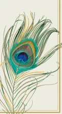Boston International Disposable Hand Paper Guest Towel Peacock Feather  32CT
