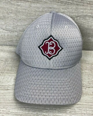 Ballers Cap Hat Richardson Flexfit Med-LG Silver Gray and Red Eruopean Union Hat
