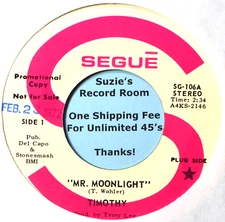 Timothy Mr. Moonlight / That Is All Pop Psych Folk Rock Private DJ 45 7" Vinyl