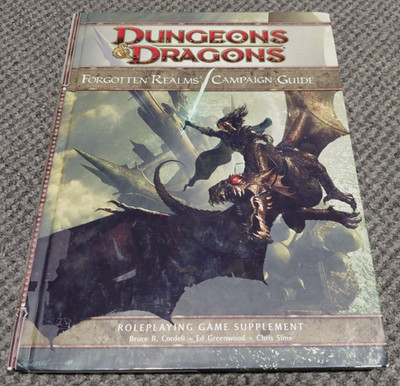Forgotten Realms Campaign Guide Dungeons & Dragons RPG 4th Edition - no Map