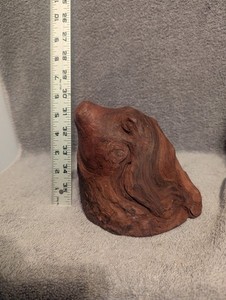 6" Cypress Stump