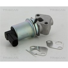 Triscan AGR-Ventil für Audi A4 Seat Exeo VW Passat