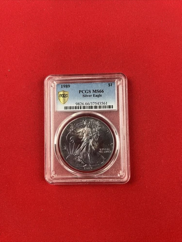 USA 1 dollar 1989, PCGS MS66, "American Silver Eagle"  TONED