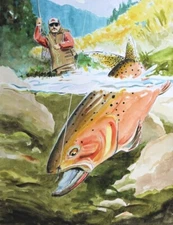 Cutthroat Trout and fly Fisherman 11 X 14 Watercolor Art Print by Barry Singer