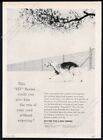 1961 Borzoi dog art Keystone Steel & Wite fencing vintage print ad