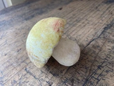 Rare Antique Italian Alabaster Marble Hand Colored Stone Fruit Mushroom