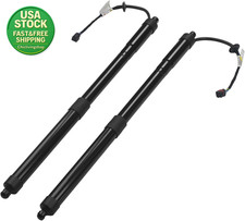 Electric Tailgate Liftgate Strut Shocks for Hyundai Santa Fe 2013-2019 2Pcs