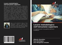 Alberto GonzáLez (U. A.) | Lavoro Metodologico Nell'istruzione Superiore | Buch