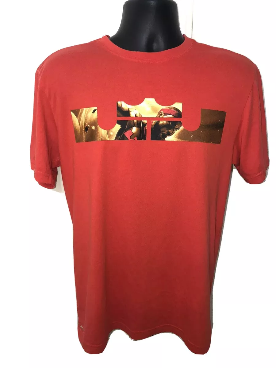 Mens LJ Crown T shirt Lebron James LA Lakers Los Angeles Nike Dri Fit M A10