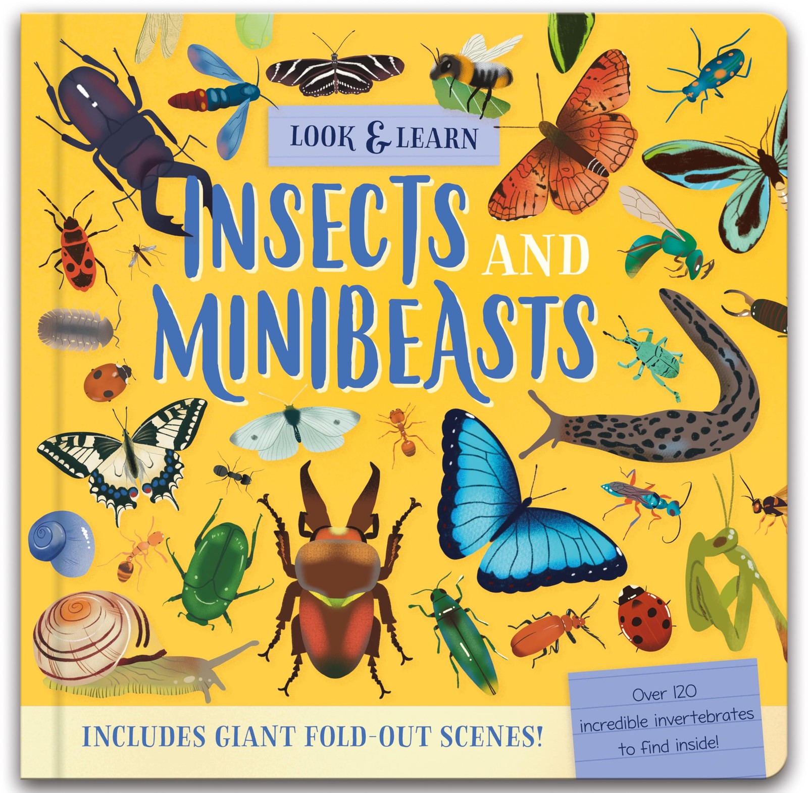 Look & Find Insects and Minibeasts by Laura Chamberlain (Hardback Book) - Image 6