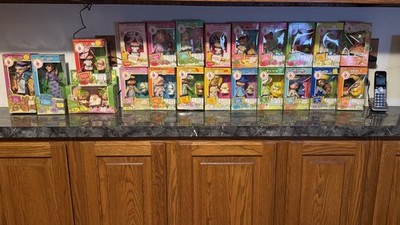 Vintage Kenner 1980 s Strawberry Shortcake Dolls All 22 of them NIB-Rare!