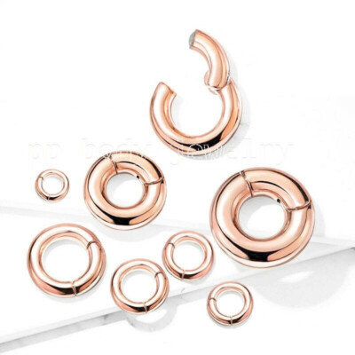 PAIR Large Gauge Hinged Clicker Segment Ring PVD Surgical Steel Earrings Septum