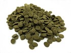 HERONS Algae Wafers Medium ALL BOTTOM FEEDING TROPICAL FISH Spirulina Catfish