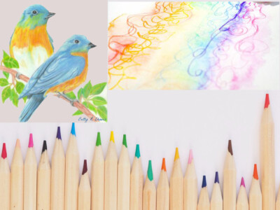 40 x Premium Bleistift Malkünstler Kinder Skizzieren Zeichnen verschiedene Farben