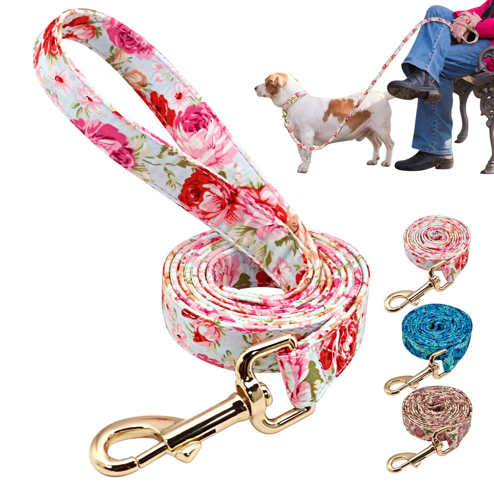 Rope leash for small dogs cheap