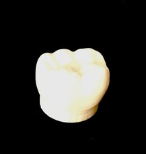 3D Printed Tooth Shaped Baby Tooth Storage Box With Lid