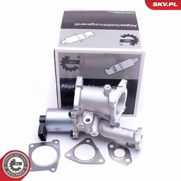 Esen SKV AGR Ventil 14SKV166 12V FüR Opel Astra Caravan A04 GTC L70 Cdti L08 L35-image