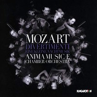 Mozart / Anima Music - Divertimenti Eine Kleine Nac - Cd - G3Z