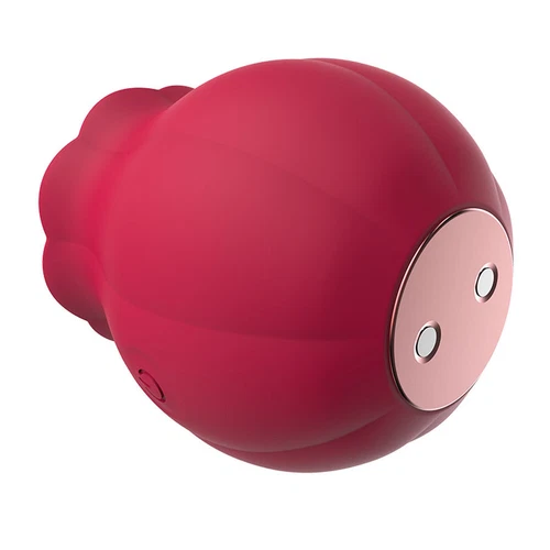 Silikon-Vibrator-Lecken-Sauger-Frauen-Massagegerät-10 Vibrationen USB Wiederaufladbar - Bild 4 von 21