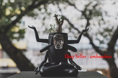 Prodip Leung X How2work Plants Of Gods Terrarium Black