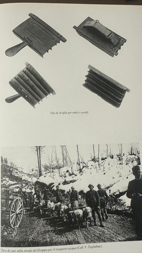 Militaria WW1 ALPINI Regio Esercito Originale STRIGLIA MULI 1GM no Elmetto - Foto 3 di 7
