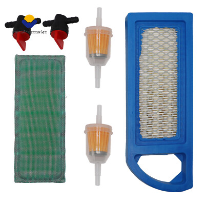 697153 794422 698083 For Briggs Stratton 795115 Intek 15.5 17 17.5 HP Air Filter
