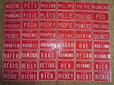 U S A Mini Bike Bicycle Vanity Metal Red License Plate Sign Nadine - Rickie