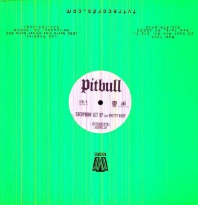 Pitbull Everybody Get UP Vinyl Single 12inch Tvt