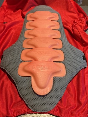 Dainese Back Protector Used 