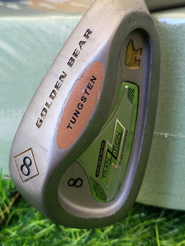 GOLDEN BEAR TRANZITION 8 IRON GRAPHITE LIGHT Flex - Nice - Picture 18 of 22