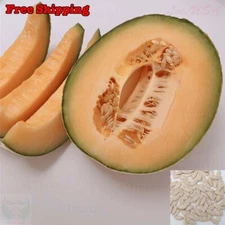 Hales Best Jumbo Cantaloupe Seeds, Hale’s Best Melon seeds, muskmelon | Non-GMO