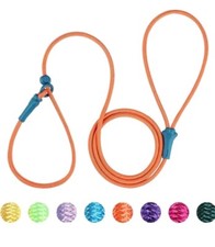 Slip Lead Dog Leash for Small Dogs 6Ft Lightweight Dog Training Leash Slip Green