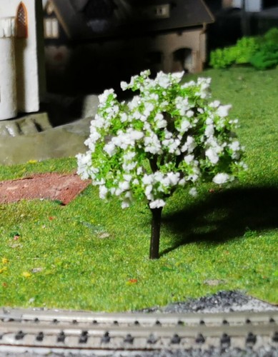 20 White Flowering Trees, 60mm Tall - Picture 7 of 12